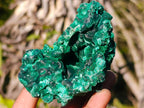 Natural Silky Malachite Specimens x 6 From Kasompe, Congo