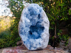 Natural XL Blue Celestite Geode Specimen x 1 From Sakoany, Madagascar - Toprock Gemstones and Minerals 