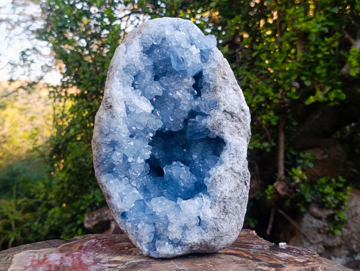 Natural XL Blue Celestite Geode Specimen x 1 From Sakoany, Madagascar - Toprock Gemstones and Minerals 