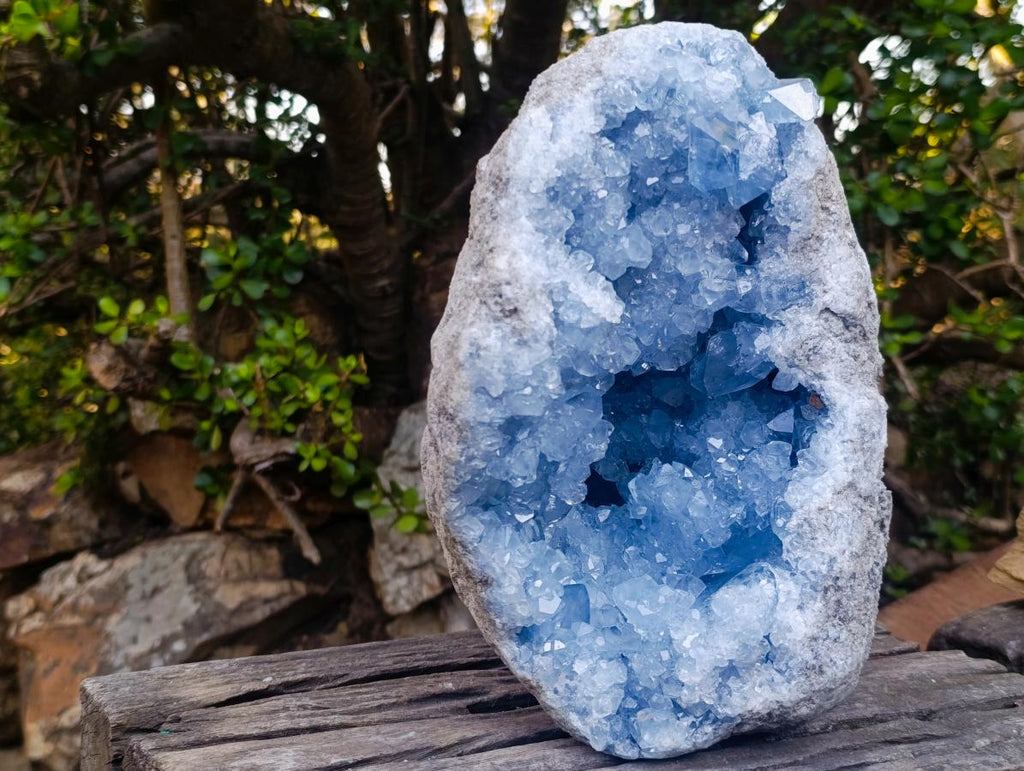 Natural XL Blue Celestite Geode Specimen x 1 From Sakoany, Madagascar - Toprock Gemstones and Minerals 