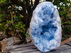 Natural XL Blue Celestite Geode Specimen x 1 From Sakoany, Madagascar - Toprock Gemstones and Minerals 
