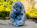 Natural XL Blue Celestite Geode Specimen x 1 From Sakoany, Madagascar - Toprock Gemstones and Minerals 