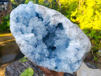Natural XL Blue Celestite Geode Specimen x 1 From Sakoany, Madagascar - Toprock Gemstones and Minerals 