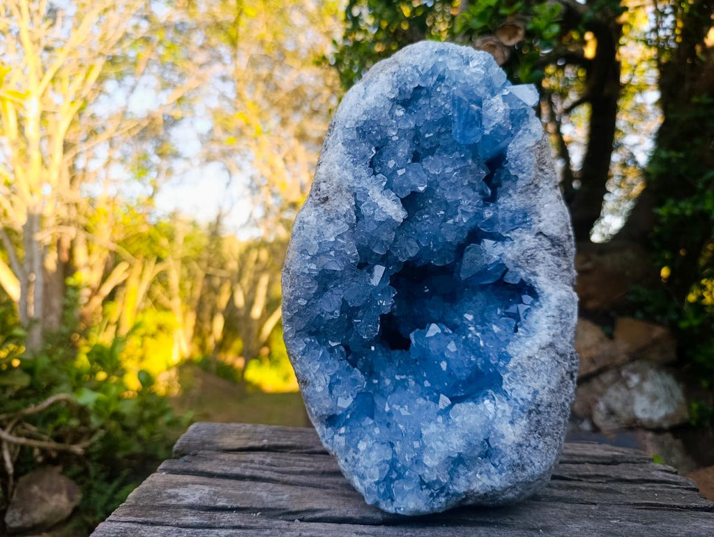Natural XL Blue Celestite Geode Specimen x 1 From Sakoany, Madagascar - Toprock Gemstones and Minerals 
