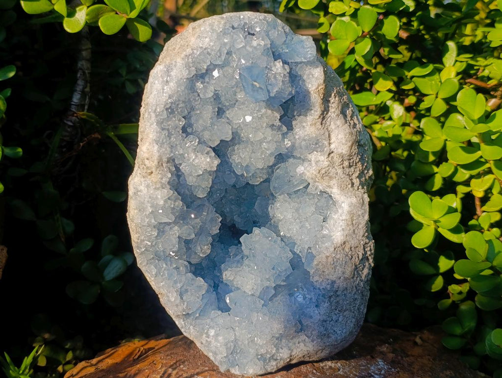Natural XL Blue Celestite Geode Specimen x 1 From Sakoany, Madagascar - Toprock Gemstones and Minerals 
