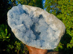 Natural XL Blue Celestite Geode Specimen x 1 From Sakoany, Madagascar - Toprock Gemstones and Minerals 