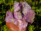 Natural Cobbed Stichtite Specimens x 24 From Barberton, South Africa - Toprock Gemstones and Minerals 
