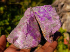 Natural Cobbed Stichtite Specimens x 24 From Barberton, South Africa - Toprock Gemstones and Minerals 