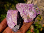 Natural Cobbed Stichtite Specimens x 24 From Barberton, South Africa - Toprock Gemstones and Minerals 
