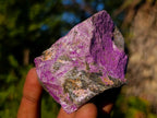 Natural Cobbed Stichtite Specimens x 24 From Barberton, South Africa - Toprock Gemstones and Minerals 
