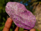 Natural Cobbed Stichtite Specimens x 24 From Barberton, South Africa - Toprock Gemstones and Minerals 