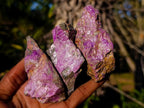 Natural Cobbed Stichtite Specimens x 24 From Barberton, South Africa - Toprock Gemstones and Minerals 