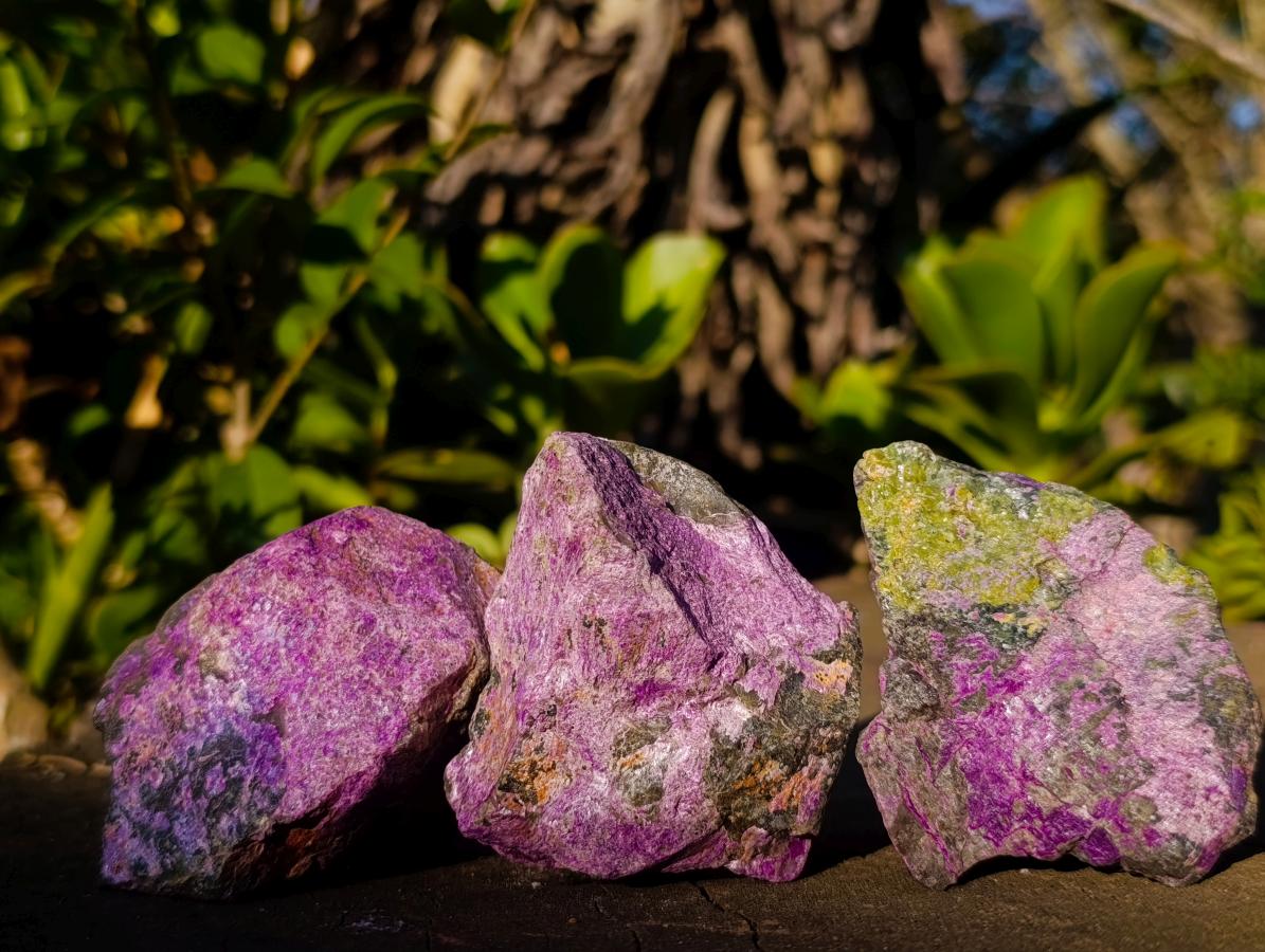 Natural Cobbed Stichtite Specimens x 24 From Barberton, South Africa - Toprock Gemstones and Minerals 