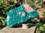 Natural Large Dioptase on Dolomite Specimen x 1 From Likasi, Congo - Toprock Gemstones and Minerals 
