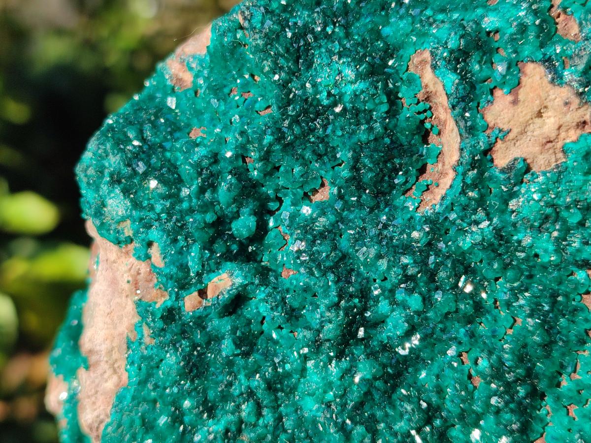 Natural Large Dioptase on Dolomite Specimen x 1 From Likasi, Congo - Toprock Gemstones and Minerals 