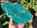 Natural Large Dioptase on Dolomite Specimen x 1 From Likasi, Congo - Toprock Gemstones and Minerals 