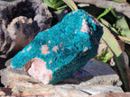 Natural Large Dioptase on Dolomite Specimen x 1 From Likasi, Congo - Toprock Gemstones and Minerals 