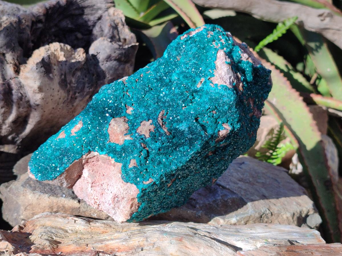 Natural Large Dioptase on Dolomite Specimen x 1 From Likasi, Congo - Toprock Gemstones and Minerals 