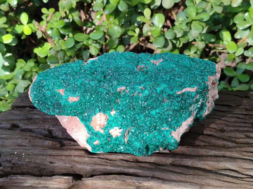 Natural Large Dioptase on Dolomite Specimen x 1 From Likasi, Congo - Toprock Gemstones and Minerals 