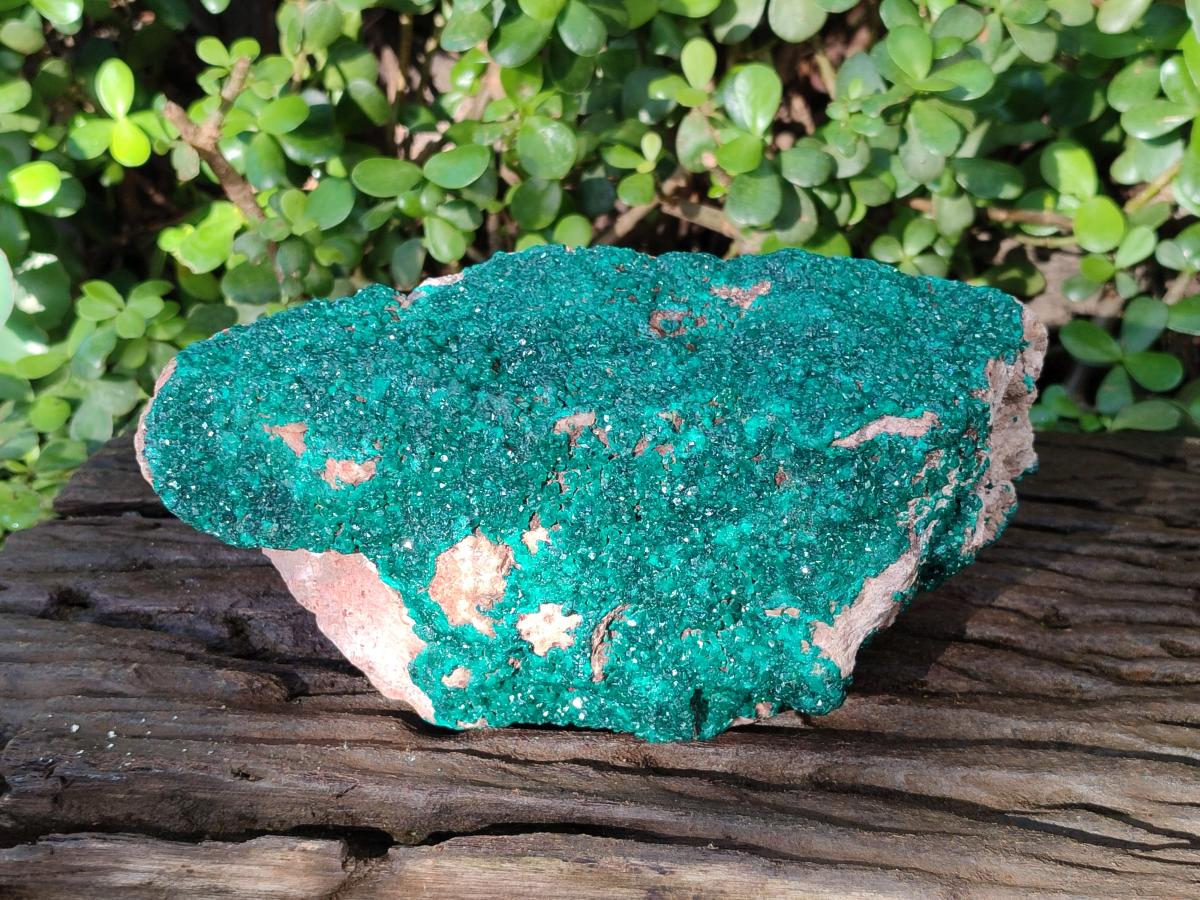 Natural Large Dioptase on Dolomite Specimen x 1 From Likasi, Congo - Toprock Gemstones and Minerals 