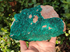 Natural Large Dioptase on Dolomite Specimen x 1 From Likasi, Congo - Toprock Gemstones and Minerals 