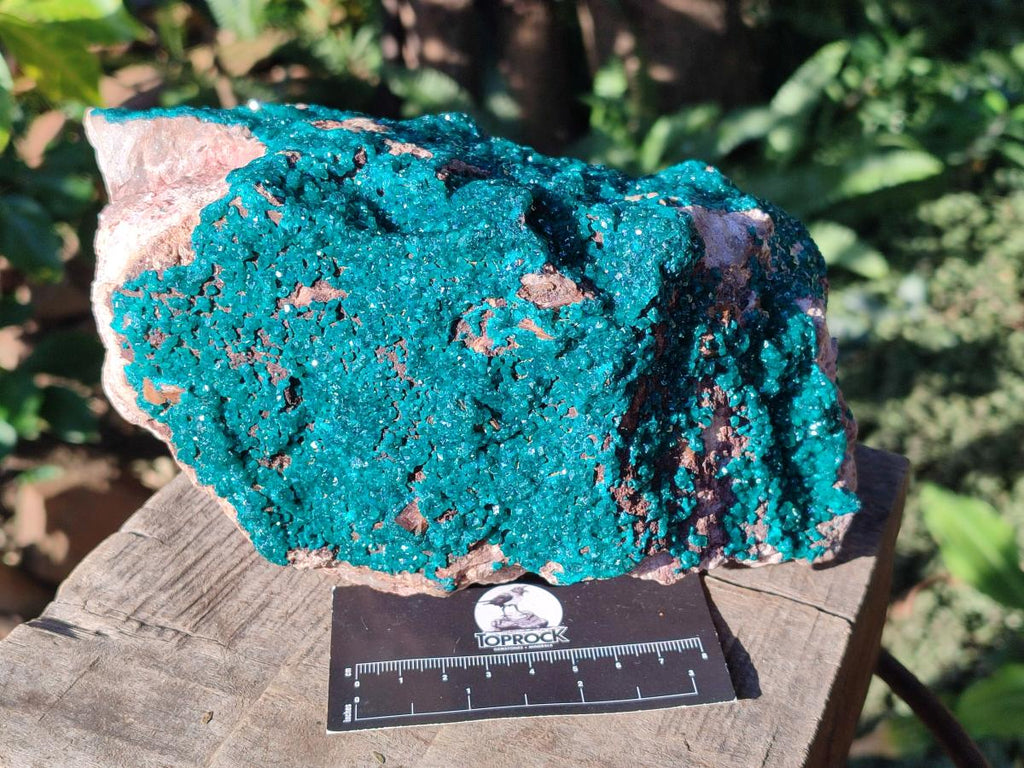 Natural Large Dioptase on Dolomite Specimen x 1 From Likasi, Congo - Toprock Gemstones and Minerals 