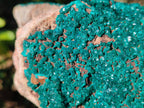 Natural Large Dioptase on Dolomite Specimen x 1 From Likasi, Congo - Toprock Gemstones and Minerals 