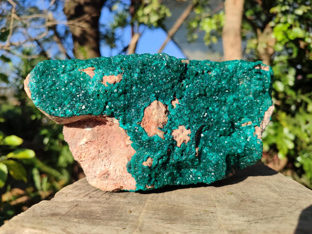Natural Large Dioptase on Dolomite Specimen x 1 From Likasi, Congo - Toprock Gemstones and Minerals 