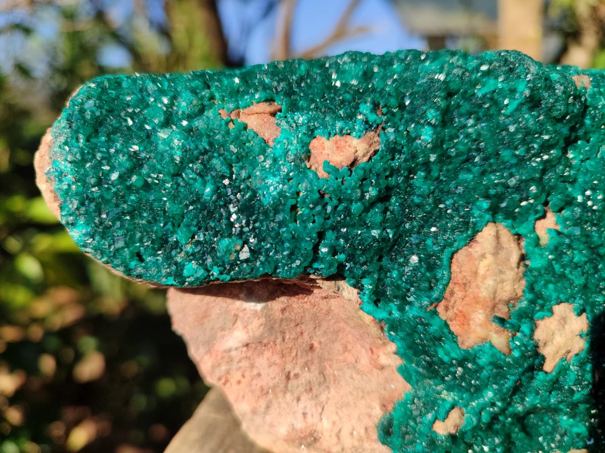 Natural Large Dioptase on Dolomite Specimen x 1 From Likasi, Congo - Toprock Gemstones and Minerals 