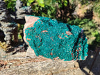 Natural Large Dioptase on Dolomite Specimen x 1 From Likasi, Congo - Toprock Gemstones and Minerals 