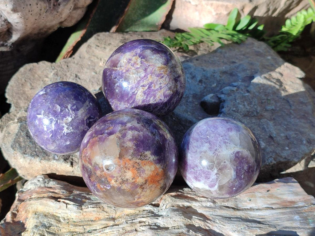 Polished Lepidolite Spheres x 4 From Ambatondrazaka, Madagascar - Toprock Gemstones and Minerals 