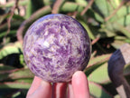 Polished Lepidolite Spheres x 4 From Ambatondrazaka, Madagascar - Toprock Gemstones and Minerals 