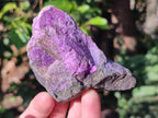 Natural Cobbed Stichtite Specimens x 12 From Barberton, South Africa - Toprock Gemstones and Minerals 