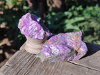 Natural Cobbed Stichtite Specimens x 12 From Barberton, South Africa - Toprock Gemstones and Minerals 