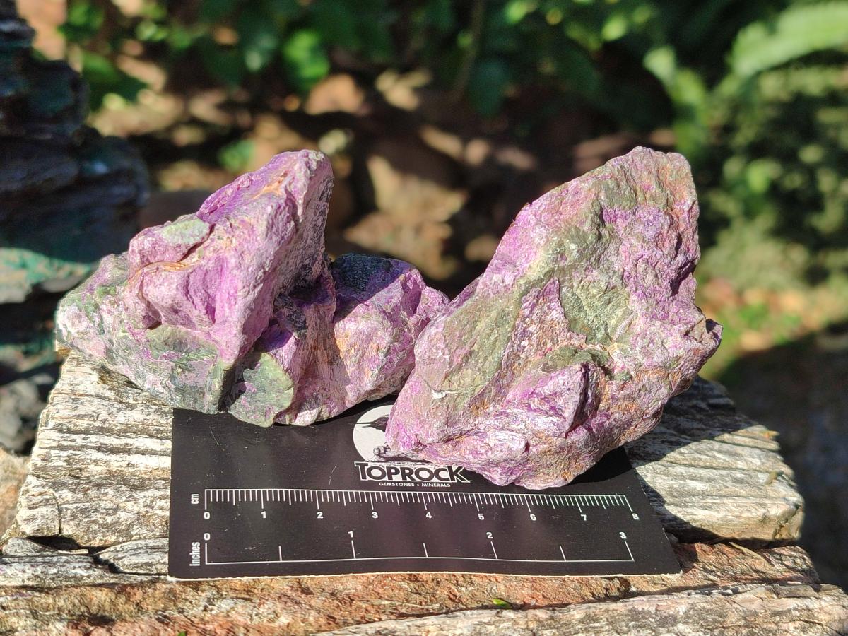 Natural Cobbed Stichtite Specimens x 12 From Barberton, South Africa - Toprock Gemstones and Minerals 