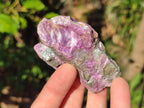 Natural Cobbed Stichtite Specimens x 12 From Barberton, South Africa - Toprock Gemstones and Minerals 