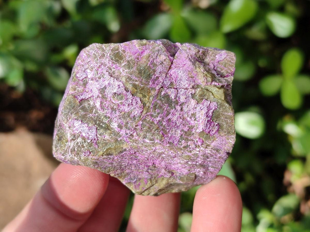 Natural Cobbed Stichtite Specimens x 12 From Barberton, South Africa - Toprock Gemstones and Minerals 