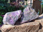 Natural Cobbed Stichtite Specimens x 12 From Barberton, South Africa - Toprock Gemstones and Minerals 