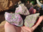 Natural Cobbed Stichtite Specimens x 12 From Barberton, South Africa - Toprock Gemstones and Minerals 