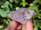 Natural Cobbed Stichtite Specimens x 12 From Barberton, South Africa - Toprock Gemstones and Minerals 