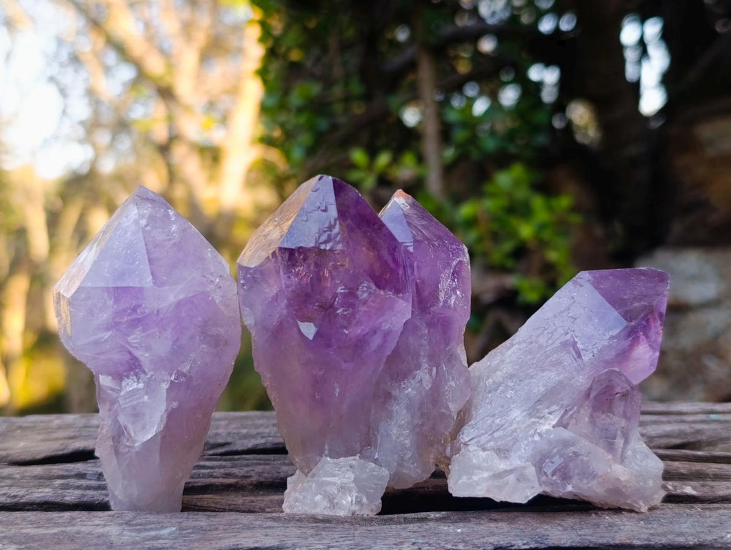 Natural Jacaranda Amethyst Crystals x 12 From Mumbwa, Zambia - Toprock Gemstones and Minerals 