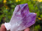 Natural Jacaranda Amethyst Crystals x 12 From Mumbwa, Zambia - Toprock Gemstones and Minerals 