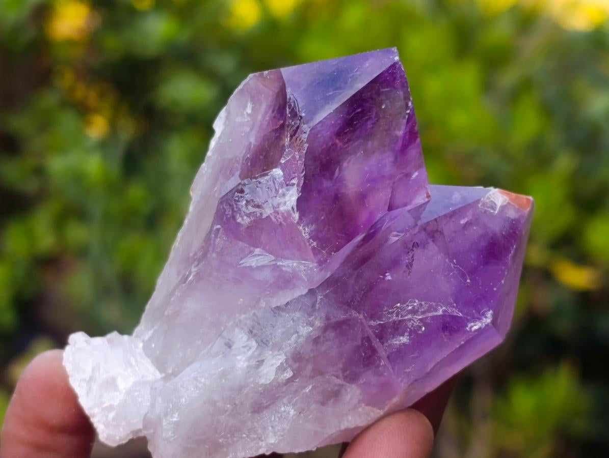 Natural Jacaranda Amethyst Crystals x 12 From Mumbwa, Zambia - Toprock Gemstones and Minerals 