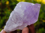 Natural Jacaranda Amethyst Crystals x 12 From Mumbwa, Zambia - Toprock Gemstones and Minerals 