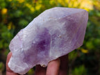 Natural Jacaranda Amethyst Crystals x 12 From Mumbwa, Zambia - Toprock Gemstones and Minerals 