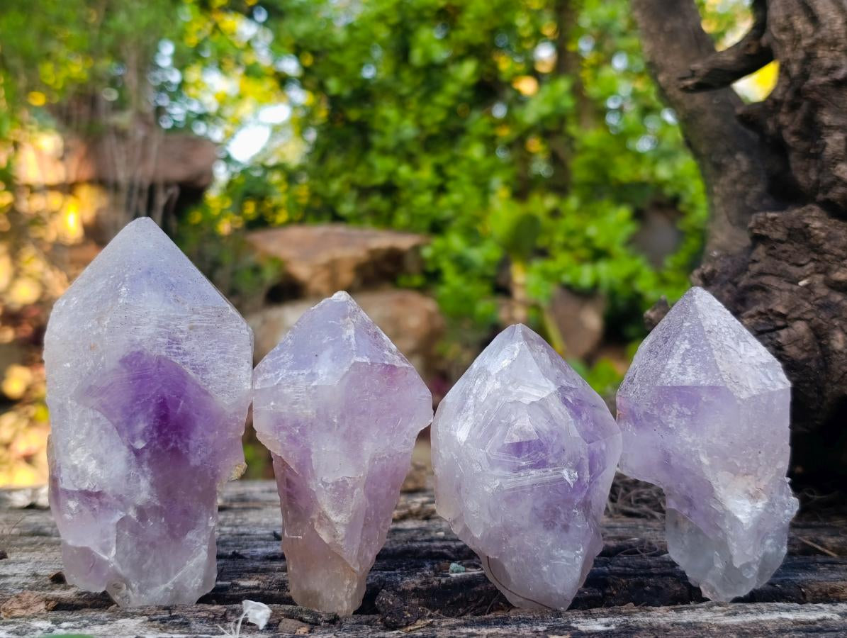 Natural Jacaranda Amethyst Crystals x 12 From Mumbwa, Zambia - Toprock Gemstones and Minerals 