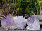 Natural Jacaranda Amethyst Crystals x 12 From Mumbwa, Zambia - Toprock Gemstones and Minerals 