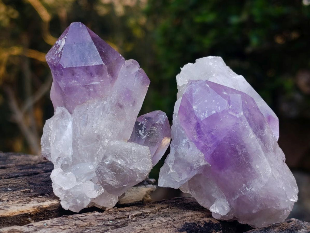 Natural Jacaranda Amethyst Crystals x 12 From Mumbwa, Zambia - Toprock Gemstones and Minerals 
