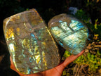 Polished Labradorite Standing Display Pieces x 2 From Madagascar - Toprock Gemstones and Minerals 