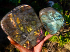 Polished Labradorite Standing Display Pieces x 2 From Madagascar - Toprock Gemstones and Minerals 